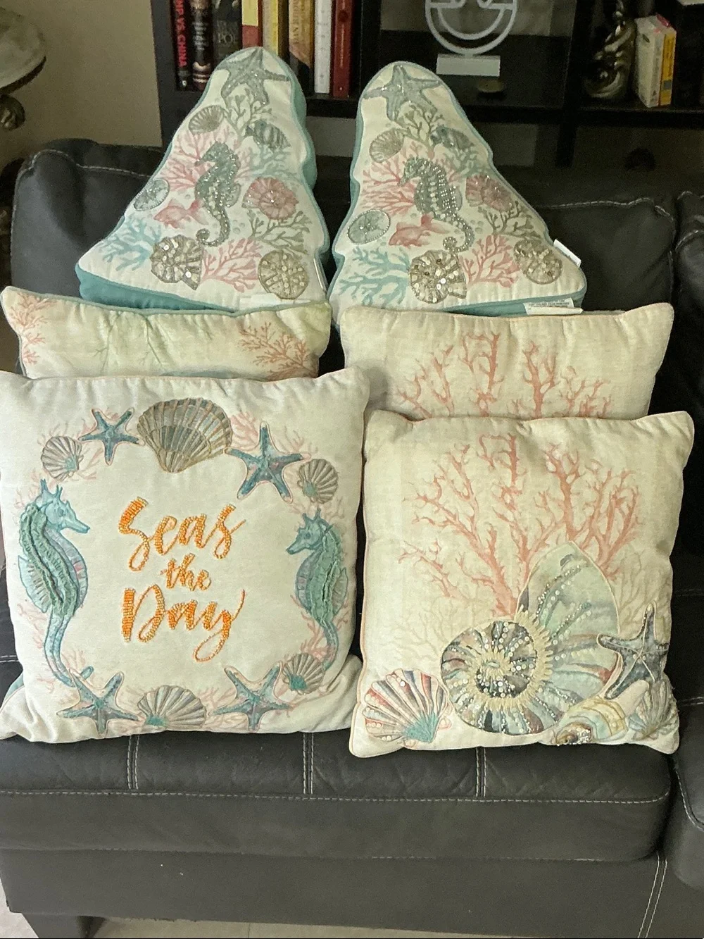 Coastal Seas the Day Embroidered Throw Pillow Set
